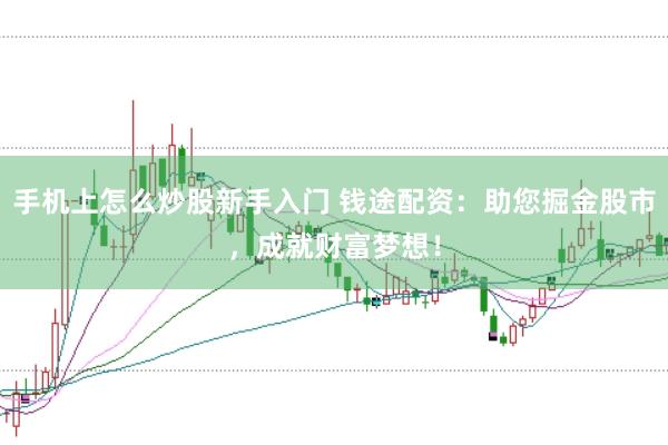 手机上怎么炒股新手入门 钱途配资:助您掘金股市,成就财富梦想!