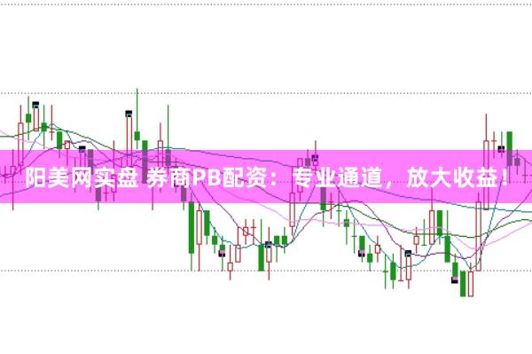 阳美网实盘 券商PB配资:专业通道,放大收益!