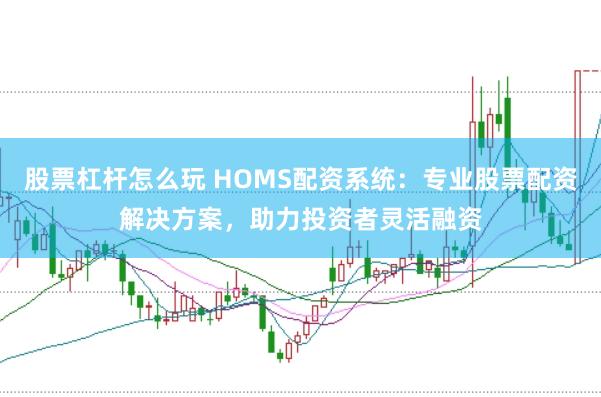 股票杠杆怎么玩 HOMS配资系统：专业股票配资解决方案，助力投资者灵活融资