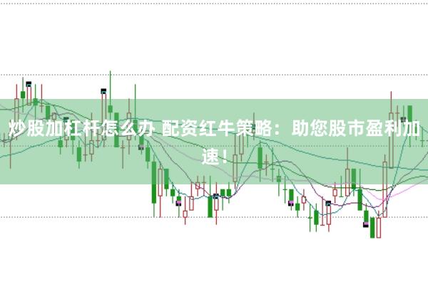 炒股加杠杆怎么办 配资红牛策略：助您股市盈利加速！
