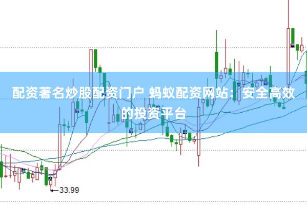 配资著名炒股配资门户 蚂蚁配资网站：安全高效的投资平台