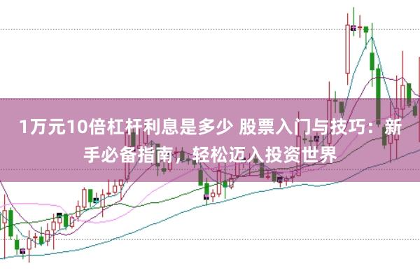 1万元10倍杠杆利息是多少 股票入门与技巧：新手必备指南，轻松迈入投资世界