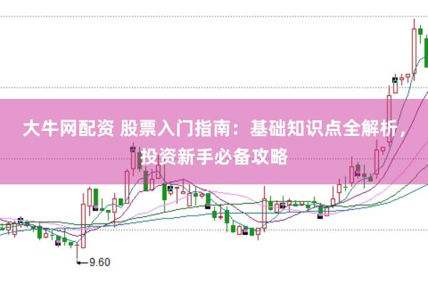 大牛网配资 股票入门指南:基础知识点全解析,投资新手必备攻略